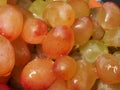 Yellow, green, red ripe Sultana grapes. Close up