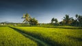 Landscape view of the Indonesian countryside Royalty Free Stock Photo