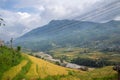 The yellow and green rice terraces above the valley in the green mountains, Asia, Vietnam, Tonkin, Sapa, towards Lao Cai, in Royalty Free Stock Photo