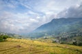 The yellow and green rice terraces above the valley in the green mountains, Asia, Vietnam, Tonkin, Sapa, towards Lao Cai, in Royalty Free Stock Photo