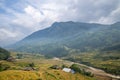 The yellow and green rice terraces above the valley in the green mountains, Asia, Vietnam, Tonkin, Sapa, towards Lao Cai, in Royalty Free Stock Photo