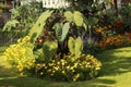 Yellow and Green Shaded Spring Flower Bed