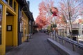 Yellow and green shops along a footpath with red autumn trees, lush green trees and fallen autumn leaves and people