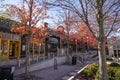 Yellow and green shops along a footpath with red autumn trees, lush green trees and fallen autumn leaves and people