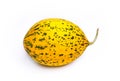 Yellow and Green Speckled Santa Claus Melon Royalty Free Stock Photo