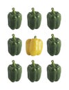 Yellow and green sweet peppers. Royalty Free Stock Photo