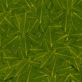 Yellow green transparent leaf pattern