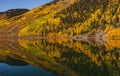 Yellow and Green Trees Reflected Royalty Free Stock Photo