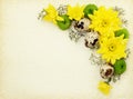 Yellow, green and white flowers with quail eggs on old paper Royalty Free Stock Photo