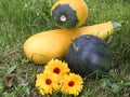 Yellow-green zucchini, watermelon and autumn flowers Royalty Free Stock Photo