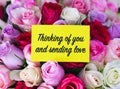 A yellow greeting card with words Thinking of You and Sending Love on a bouquet of colorful roses Royalty Free Stock Photo