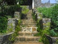 Yellow old stone stairs overgrown with green plants Royalty Free Stock Photo