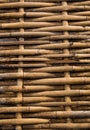 Yellow grunge dirty weave bamboo pathway