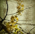 Yellow grunge kerala blossom art print