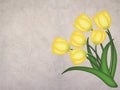 Yellow grunge tulip on textured background Royalty Free Stock Photo