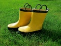 Yellow Gumboots