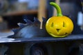 Yellow Halloween pumpkin on a background a circular saw