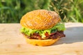 Yellow hamburger with meat steak, tomato, cucumber and lettuce on the background of a cutting board and green grass Royalty Free Stock Photo