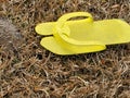 Yellow hand made flip-flop diwhy