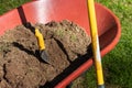 A red wheelbarrow filled with dirt and a yellow trowle