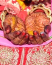 The yellow hands of the bride by the pandit at an Indian wedding