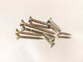 Yellow hardware screws on a white background