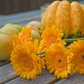 Yellow harvest still-life Royalty Free Stock Photo