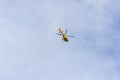 Yellow helicopter flying in the blue sky Royalty Free Stock Photo