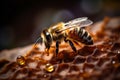 yellow macro bee nature hexagon closeup gold pollen insect background honey. Generative AI.