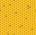 Yellow hexagonal realistic honeycomb seamless texture