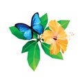 Yellow hibiscus blue butterfly isolated on white background low polygon design Royalty Free Stock Photo