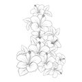 yellow hibiscus flower coloring page line drawing with print template for kid and adult