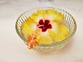 Yellow hibiscus flower in glass bowm isolated in white background Royalty Free Stock Photo