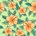 Yellow hibiscus flowers with palm tree leaves seamless pattern on green background. Great for spring and summer Royalty Free Stock Photo