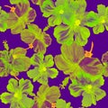 Yellow Hibiscus Leaves. Pink Seamless Plant. Neon Flower Wallpaper. Orange Watercolor Palm. Green Pattern Backdrop. Purple Tropica Royalty Free Stock Photo