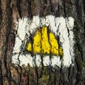 Yellow hiking sign on the tree