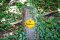 Yellow hiking trail mark on a wooden stump in nature. Sign TRANSLATION: Wanderweg - trail, hiking path in German. Tourist signs