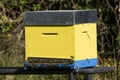 Yellow hive with bees