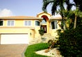 Yellow Home in Tropics