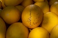 Yellow honey from Cavaillon, ripe round charentais honey cantaloupe melons on local market in Provence, France