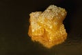 Yellow honey comb slice with fresh honey on golden background Royalty Free Stock Photo