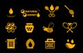 Yellow honey icons set