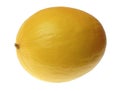 Yellow honey melon