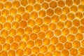 Yellow honeycomb background texture. Honey hexagon cells