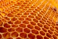 Yellow Honeycomb closeup background