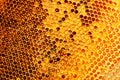 Yellow Honeycomb closeup background