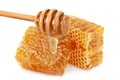 Honeycomb slice closeup on white