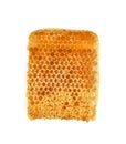 Yellow Honeycomb slice closeup isolated on white background Royalty Free Stock Photo