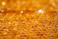 Yellow honeycombs with empty cells. Honeycomb frame with thick golden honey, different depth of field. Apiary. A sweet