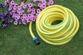 Yellow hose pipe on a grass Royalty Free Stock Photo